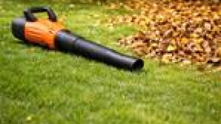 Pihojen ja kulkuväylien siivous nopeasti ja tehokkaasti фото